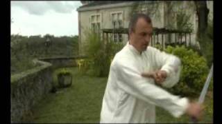 Cours de Taiji Quan Le Taiji à lépée du style Yang [upl. by Trubow]