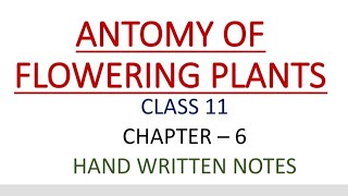 CLASS 11  BIOLOGY  CHAPTER 6  ANATOMY OF FLOWERING PLANTS  HAND WRITTEN NOTES  PART  1 [upl. by Oreves975]