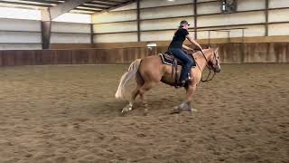 ImCountinButterflies — 2020 AQHA mare [upl. by Fleece]