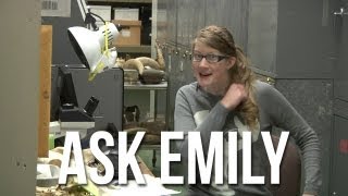 Ask Emily 2 [upl. by Nylqcaj]