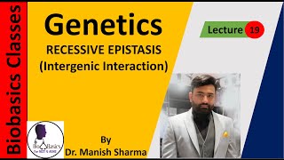 Recessive Epistasis Intergenic Interaction GENETICS [upl. by Ziagos]