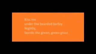 Kiss me  The Cranberries lyrics [upl. by Alic491]