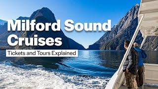 How to Plan Your Milford Sound Cruise in 2024 [upl. by Esenaj]