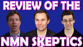 My Review of the YouTube NMN Skeptics [upl. by Gilmer446]