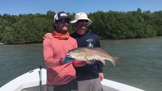 Inshore fishing Sanibel Florida [upl. by Adihaj]