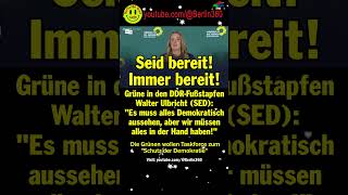 Grünen Bundeskanzler taskforce Afd BSW thüringen sachsen DDR SED demokratie putin schutz [upl. by Aohsoj]