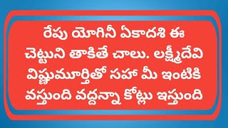 రేపు యోగినీ ఏకాదశి ఈ చెట్టుని తాకితే చాలు లక్ష్మీదేవి విష్ణుమూర్తితో సహా మీ ఇంటికి వస్తుంది [upl. by Edelsten]