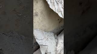 Parging foundation repair Edmonton [upl. by Ecnatsnok]