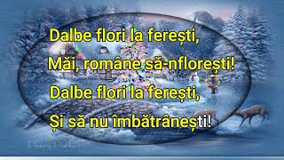 Dalbe flori la feresti [upl. by Ben]