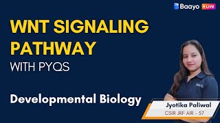 Wnt Signaling Pathway in detail with PYQs analysis csirlifesciences cellsignaling [upl. by Annala789]