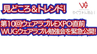 「中の人」による第10回ウェアラブルEXPO見どころ解説アリ！ウェアラブルEXPO直前に実施したWUGウェアラブル勉強会の模様を緊急公開します。 [upl. by Ameen876]