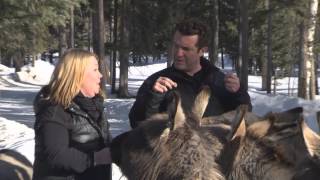 RMR Rick and Jann Arden at the Donkey Sanctuary [upl. by Aicnilav]