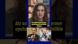 Sokak köpekleri üzerinden kutuplaştırma çabasına Erbakan tokadı [upl. by Noterb]