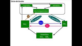 UT17  Ciclo S y P [upl. by Eeldarb128]