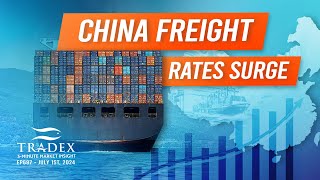 3MMI  China Freight Rates Surge Delays Rates Forecast Market Impacts [upl. by Handy]