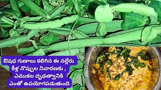 నల్లేరు పచ్చడి NALLERU PACHADI Chakri Ghumaghumalu ayurveda [upl. by Aicil]