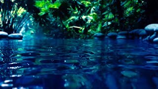 Water Sounds for Sleep or Focus  White Noise Stream 10 Hours [upl. by Seline]