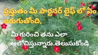 💯❤️మీ పార్టనర్ లైఫ్ లో ప్రస్తుతం ఏమేమి జరుగుతున్నాయితన ఆలోచనలు ఏంటి మీకోసం [upl. by Adnical]