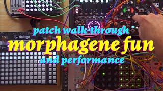 Custom Morphagene Reels Patch Walkthrough and Performance [upl. by Arhoz876]