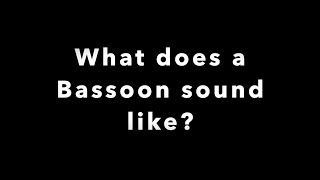 What does a Bassoon Sound Like [upl. by Gristede]