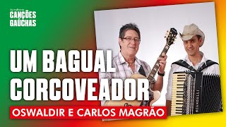 UM BAGUAL CORCOVEADOR  OSVALDIR amp CARLOS MAGRÃO AO VIVO  O SHOW DO SUL [upl. by Moulden]