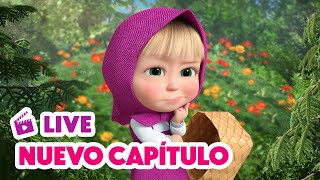 🔴 LIVE 🐻👧 Masha y el Oso 💥 NUEVO CAPÍTULO 🍓🐸 Bayas Traviesas 🎬 Masha and the Bear [upl. by Ivatts402]