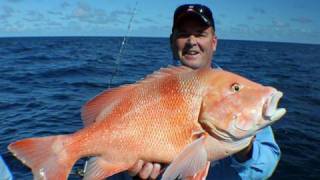 Mackay Fishing Charter Insane Three Day Trip [upl. by Rika]