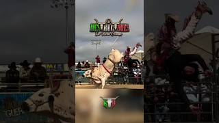 ¡¡NIÑO TEXANO VS COTORRA DE OAXACA DESTRUCTORES VS INTUMBABLES EN SALINAS CALIFORNIA viral fyp [upl. by Reibaj345]