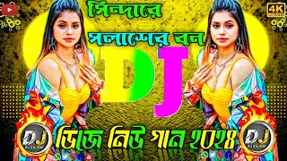 ডিজে নিউ গান  পিন্দারে পলাশের বন ডিজে 🔥 Dj TikTok Viral🔥Dj Sujon 2025 [upl. by Nobile]