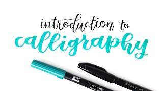 Introduction to Calligraphy for Beginners [upl. by Sseb390]