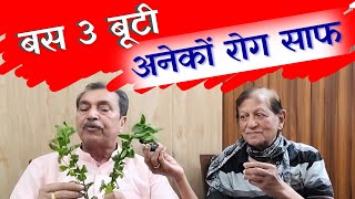 Ayurveda  बस 3 पत्ते  अनेक रोगों की घरेलू दवा  Bas 3 Patte anek rogon ka asardar gharelu ilaj [upl. by Mafalda]