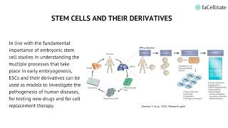 Induced Pluripotent Stem Cells [upl. by Hawley]