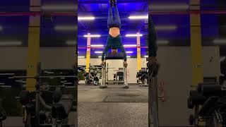 handstand calistenia calisthenics gym hspu [upl. by Eissahc444]