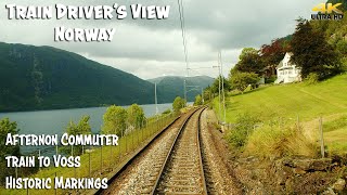 4K CABVIEW Afternoon Commuter Train From Bergen to Voss with pointers [upl. by Claus]