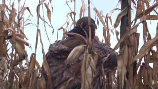 MI DNR Managed Waterfowl Hunt Area Nayanquing Point [upl. by Wynne393]