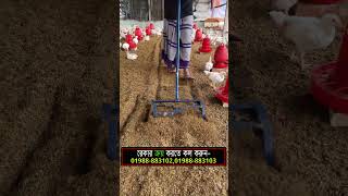 Poultry Raking Machine farming poultry chicken agriculture [upl. by Elkraps]