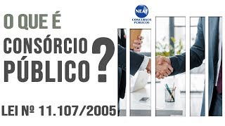 Consórcios Públicos Resumo  Lei 11107 de 2005  Leis Essenciais para Concursos Públicos1 [upl. by Alleinad]