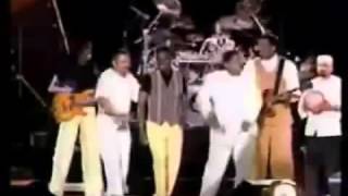 Verdine WhiteEarth Wind amp Fire Live 95 amp 96 Sinbads Summer Jam 70s Soul Music Festival [upl. by Aneema]