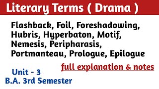 BA 3rd Semester Unit 3 Literary Terms  Drama  BA 3rd sem English literature literary terms [upl. by Kassaraba]