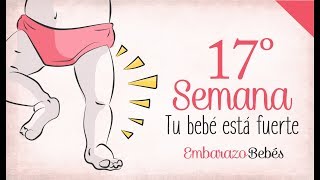 SEMANA 17 de Embarazo  4º Mes  Semana a semana [upl. by Rubi]