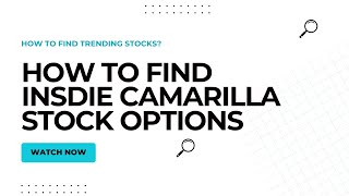 How to find Inside CAMARILLA in stock options [upl. by Anev]