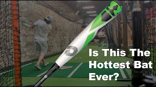 Is This The Hottest Bat Ever 2017 Demarini CF Zen Drop 5 Test and Review [upl. by Donielle]