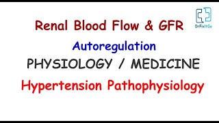 Renal Blood Flow amp GFR Autoregulation  Hypertension Pathophysiology  Physiology  Medicine HS 6 [upl. by Haliled]