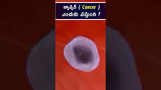 క్యాన్సర్  Cancer  ఎందుకు వస్తుంది   hematologist  Dr Chandrasekhar Bendi [upl. by Ikcin103]