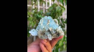 Blue AquamarineCrystals  MuscoviteMic  AquamarineSpecimen  FineMineral [upl. by Eissolf773]