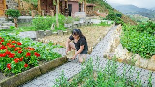 10 Days to Build a Vegetable Garden Firewood Warehouse Water Tank and Wooden Bird Cage [upl. by Arobed]