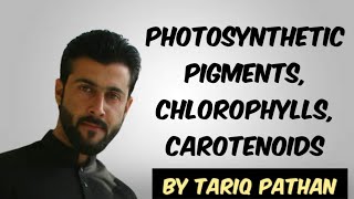 Class 11 Chapter 4  Photosynthetic pigments  Chlorophylls  Carotenoids by Tariq Pathan [upl. by Malda75]