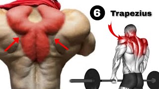 Best Trapezius Muscle Pain Relief Workout [upl. by Ramunni]