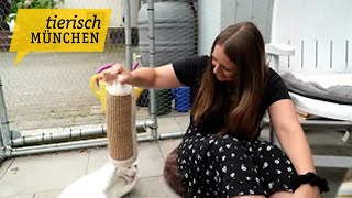 Wir treffen die Tierschützerinnen und Tierschützer des Tierschutzvereins Schlupfwinkel und begleit [upl. by Talie266]