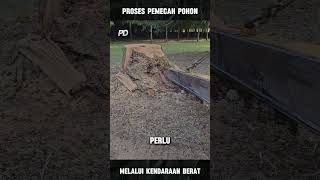 Memotong Pohon yang Masih Tertanam portaldunia [upl. by Murry802]